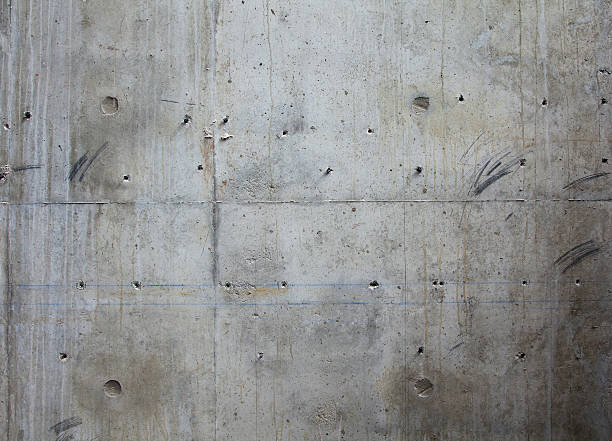 Best Concrete Sealing and Maintenance in Scotland Neck, NC